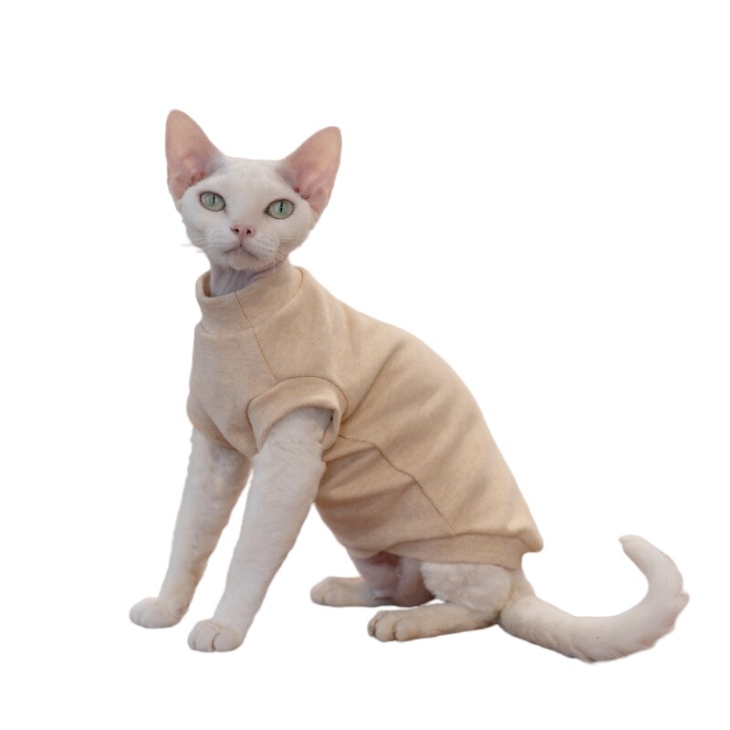 GINGERAIN 婴儿棉保暖抗过敏德文猫衣服无毛猫基础款素色背心