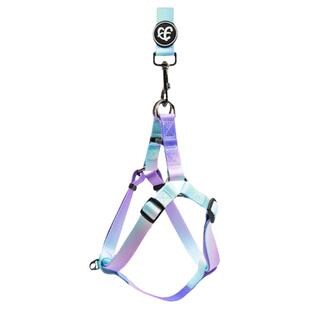 FIFTEEN PET 宠物胸背Y字型工字型狗用品牵引绳遛狗时尚简约灵缇