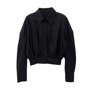 高级感黑色高立领衬衫外套套装女收腰显瘦A字伞裙大裙摆两件套