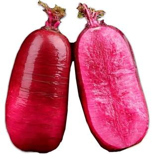 紫美人水果萝卜新鲜凤梨甜脆青萝卜红皮潍坊心里美萝卜生吃冰淇淋