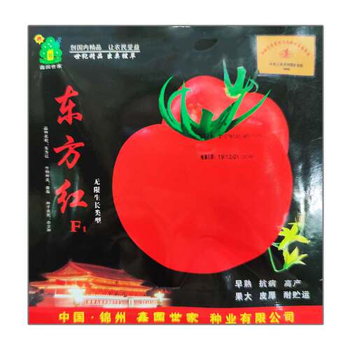 大红西红柿种籽抗裂番茄种子大果350克耐低温耐弱光强春秋季四季