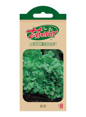 萌吖吖香菜种籽香料葱种子大全