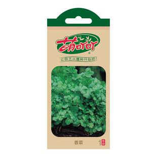 虹越萌吖吖香菜种子阳台盆栽四季播种韭菜猫薄荷香芹罗勒花种籽子