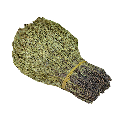 高山野生疳积草短脚独脚金独角金