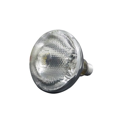 猪用保温灯鸡取暖灯泡养殖场专用