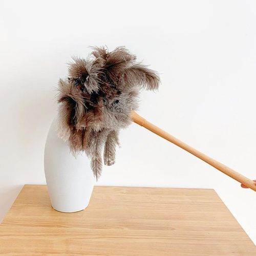 鸵鸟毛掸子家用清洁不毛利器扫加大加密除尘掉除尘鸡毛掸子车用