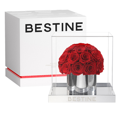 BESTINE永生花玫瑰花抱抱桶花球