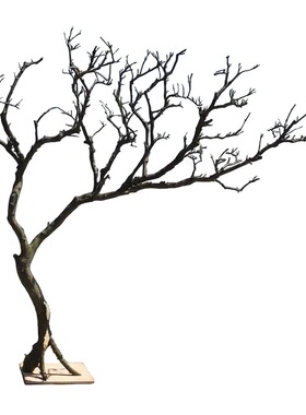 原木树枝干树枝去皮室内造景橱窗