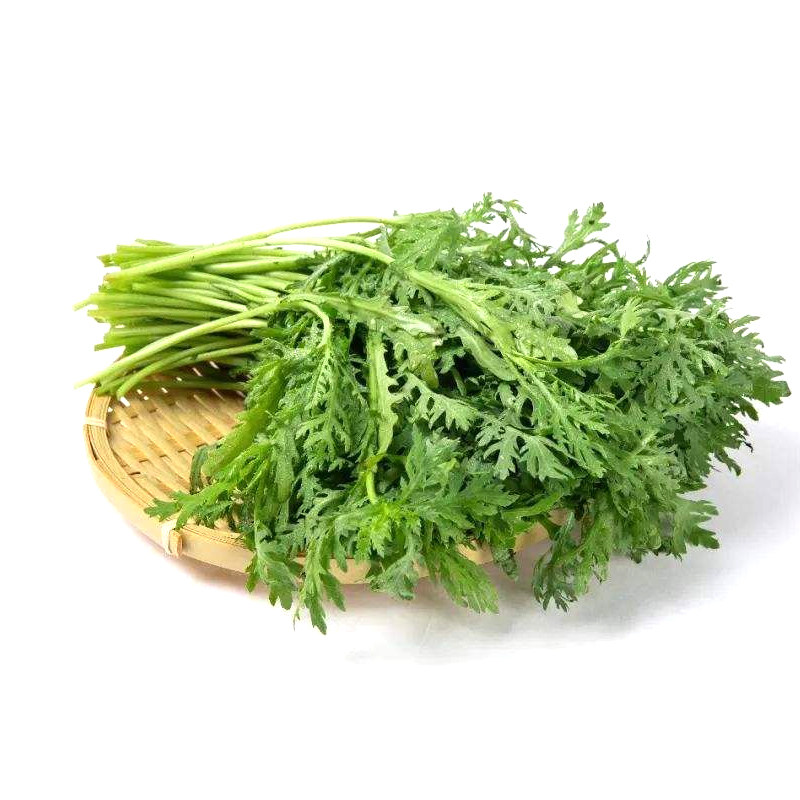中叶春菊茼蒿种子中叶皇帝菜茼蒿菜耐热春秋季蔬菜种子籽四季播种