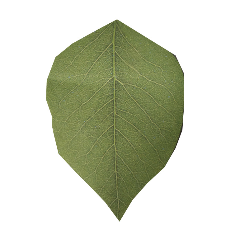 创意树叶便利贴仿真绿色叶子形状便签纸学生用办公留言心愿墙贴纸