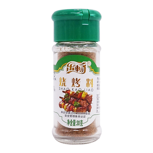 乐畅烧烤料30g*2瓶烤肉撒粉撒料腌料调料家用调味料烤鱼羊肉串料