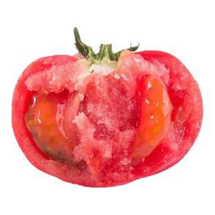 大粉果西红柿番茄苗子毛粉沙瓤番茄高硬度四季盆栽草莓番茄秧苗子