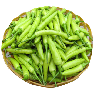 小米椒种子朝天椒辣椒籽树四川春季秋四季五七彩盆栽南方孑苗秋冬