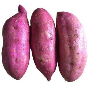 农家现挖红薯 正宗板栗番薯 红皮白肉粉香地瓜鲜山芋 中果5斤装