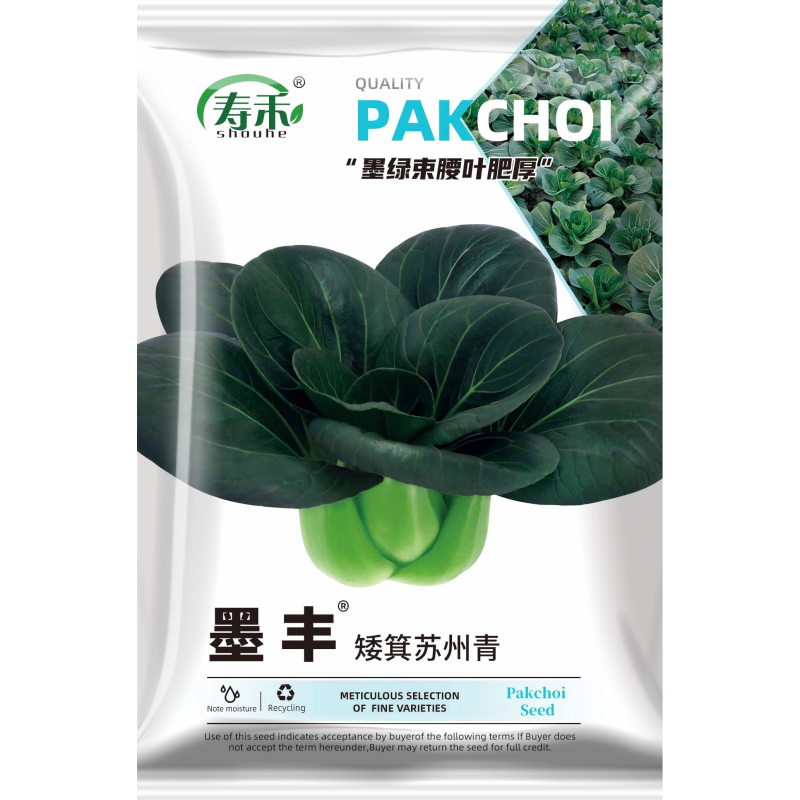 黑叶矮箕苏州青矮脚苏州青种子黑大头抗寒肉厚青梗菜小油菜种籽孑