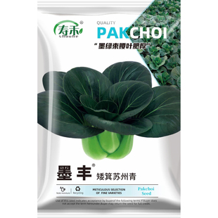 黑叶矮箕苏州青矮脚苏州青种子黑大头抗寒肉厚青梗菜小油菜种籽孑