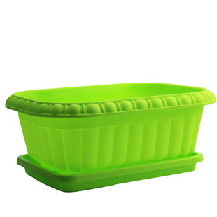 蔬菜盆栽套装阳台种四季香菜鸡毛菜小葱速生菠菜小白菜生菜籽种子