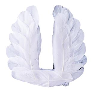 【10枚】羽毛生日蛋糕装饰摆件大号黑色白色网红爱心羽毛翅膀插件