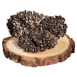 姜妍同款干巴菌味灰树花舞茸食用菌干巴菌炒饭煲汤农家香菇菌菇