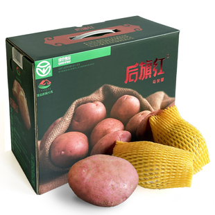 后旗红土豆8.5斤礼盒内蒙古产地直销红皮沙面土豆含硒马铃薯洋芋