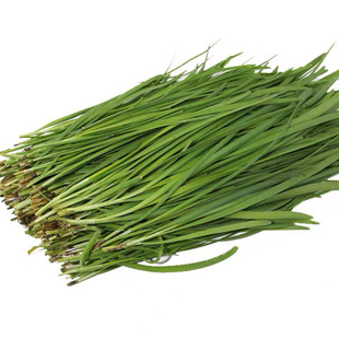 有机方式种植韭菜新鲜三鲜馅饺子现割露天老品种时令云南蔬菜顺丰