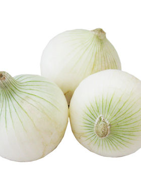 新疆牙子白洋葱凉拌菜生吃5斤