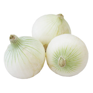新疆白皮牙子白洋葱凉拌菜新鲜蔬菜生吃5斤包邮