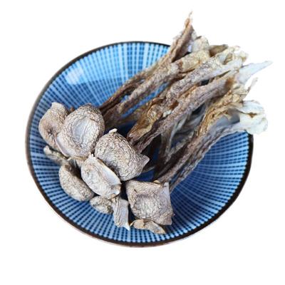 云南特产野生菌手工种