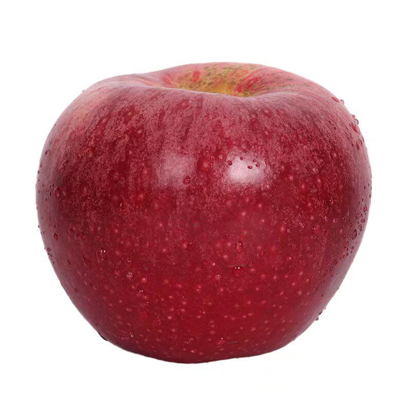 新鲜水果秦冠苹果粉面香甜老人宝宝刮泥孕妇应季水果软糯红香蕉黄