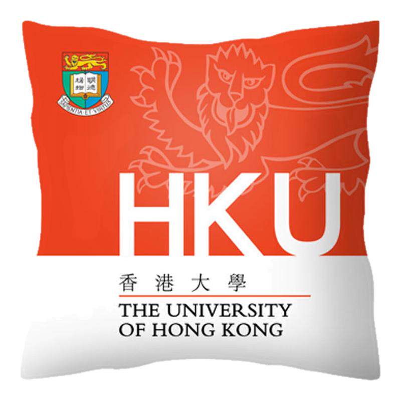 香港大学香港理工抱枕靠垫