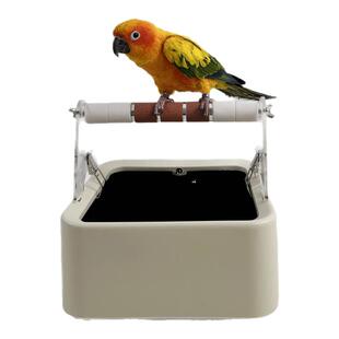 拉便便鹦鹉垃圾桶站架鹦鹉站架鹦鹉站架鹦鹉厕所定点盒子