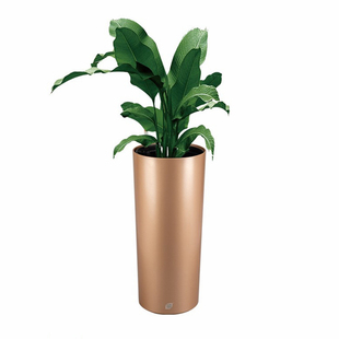 宜植堂北欧简约高直筒花盆细高型高款懒人自动吸水红掌白掌水培盆