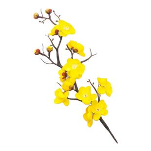 春三月舞蹈道具古典舞仿真梅花枝腊梅三月黄色花枝跳舞表演出专用