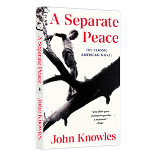 独自和解 英文原版青春小说 A Separate Peace 一个人的和平 全英文版进口英语书籍 另一种和平 电影原著 可搭麦田里的守望者正版