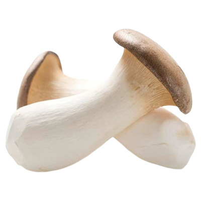 云南新鲜有机杏鲍菇鸡腿菇