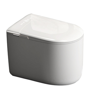 【政府补贴15%】日丰59cm无唇边全自动智能马桶家用泡沫盾坐便器