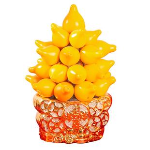 黄金果盆栽室内植物五指茄桌面装饰乳茄果绿植年宵花卉五代同堂果