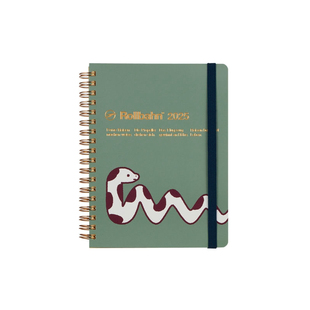 日本DELFONICS手帐2025年Rollbahn笔记本甘特图多彩封面月计划本