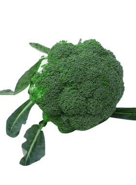 四季蔬菜种子西兰花花椰菜