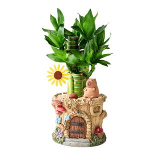 植季发财树盆栽富贵竹植物礼盒男生生日礼物女生伴手礼新年礼物