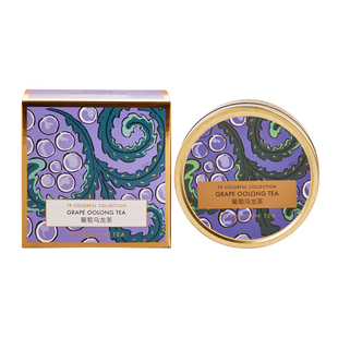 T9小金罐葡萄乌龙茶包水果茶热泡茶叶送礼伴手礼25g
