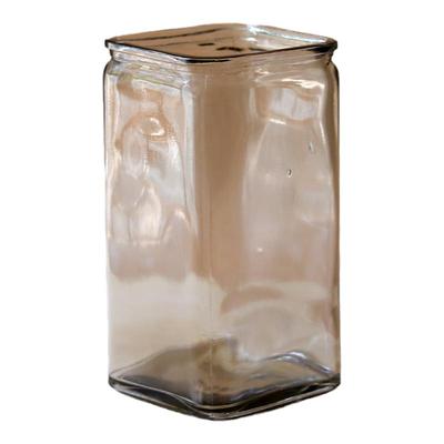 方形透明玻璃花瓶植物简约现代