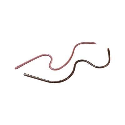 jackall路亚饵无铅面条虫