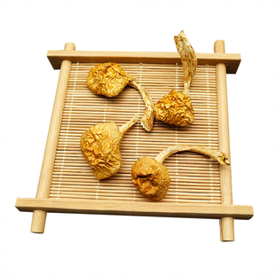 东北特产滑子菇干货500g包邮滑子蘑小鸡炖蘑菇小黄蘑野生蘑菇