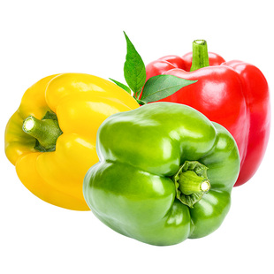 彩椒生吃新鲜水果七彩辣椒灯笼甜椒寿光蔬菜青小米圆辣椒蔬菜10斤