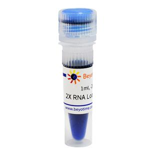 碧云天Beyotime R0215-1ml 2X RNA上样缓冲液 RNA Loading Buffer