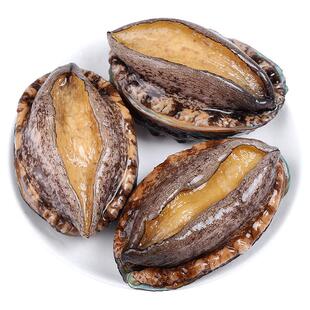 鲍鱼鲜活冷冻青岛崂山新鲜海鲜水产特大加热即食小鲍鱼汁商用速冻