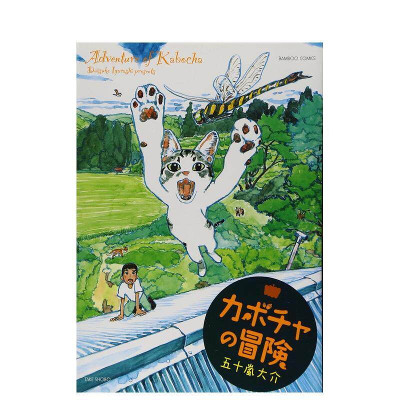 【预售】尼娜·贝尔：作品英文外国美术当代进口原版外版书精装14岁以上Nina Beier: WorksVanessa BoniHatje Cantz