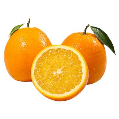 一年销售100万斤+的赣南脐橙店铺