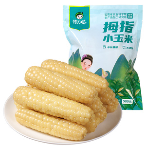 拇指玉米云南西双版纳香糯小玉米傣家手指玉米新鲜儿童宝宝婴儿